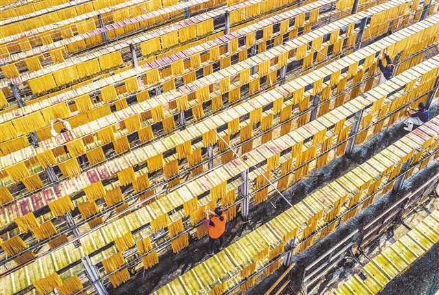 百年粉条与现代科技融合 配套项目建设与技术开发的双轮驱动