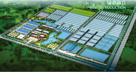 现代农业产业园融合网络科技 驱动农业现代化的双引擎